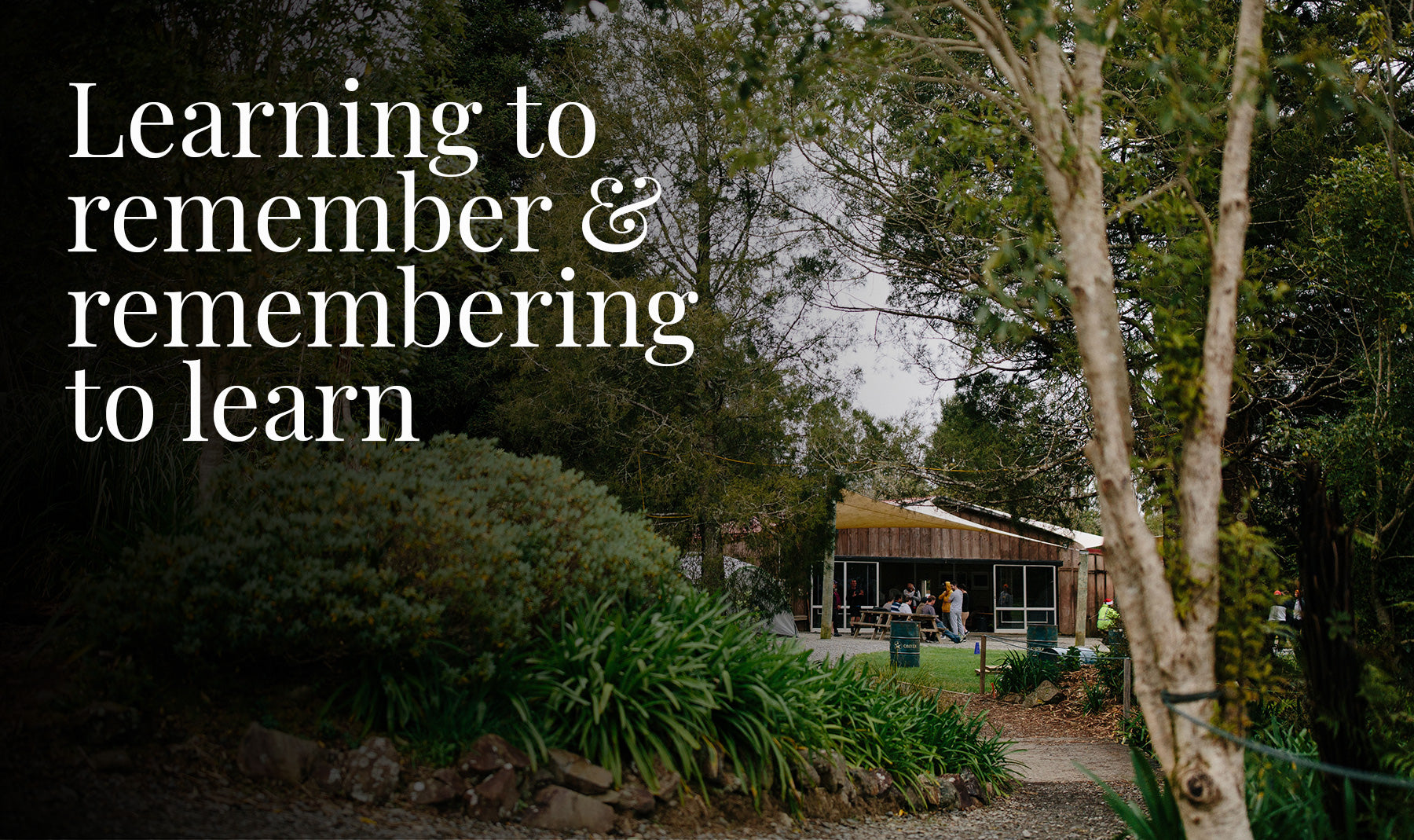 Learning to remember and remember to learn