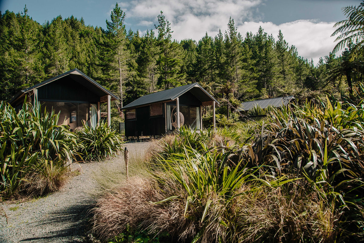 Bio-Hack your way to Peak Performance Retreat | 19 - 21 November 2023