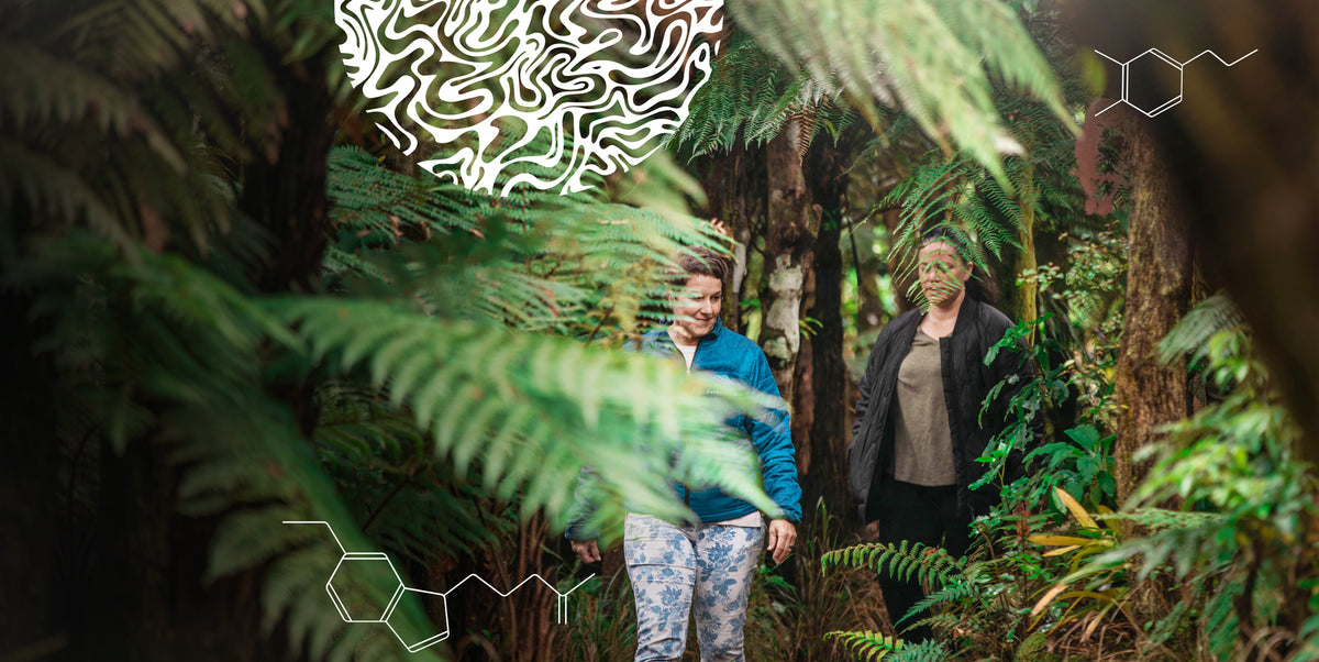 Women in Leadership - Performance Coaching Package.