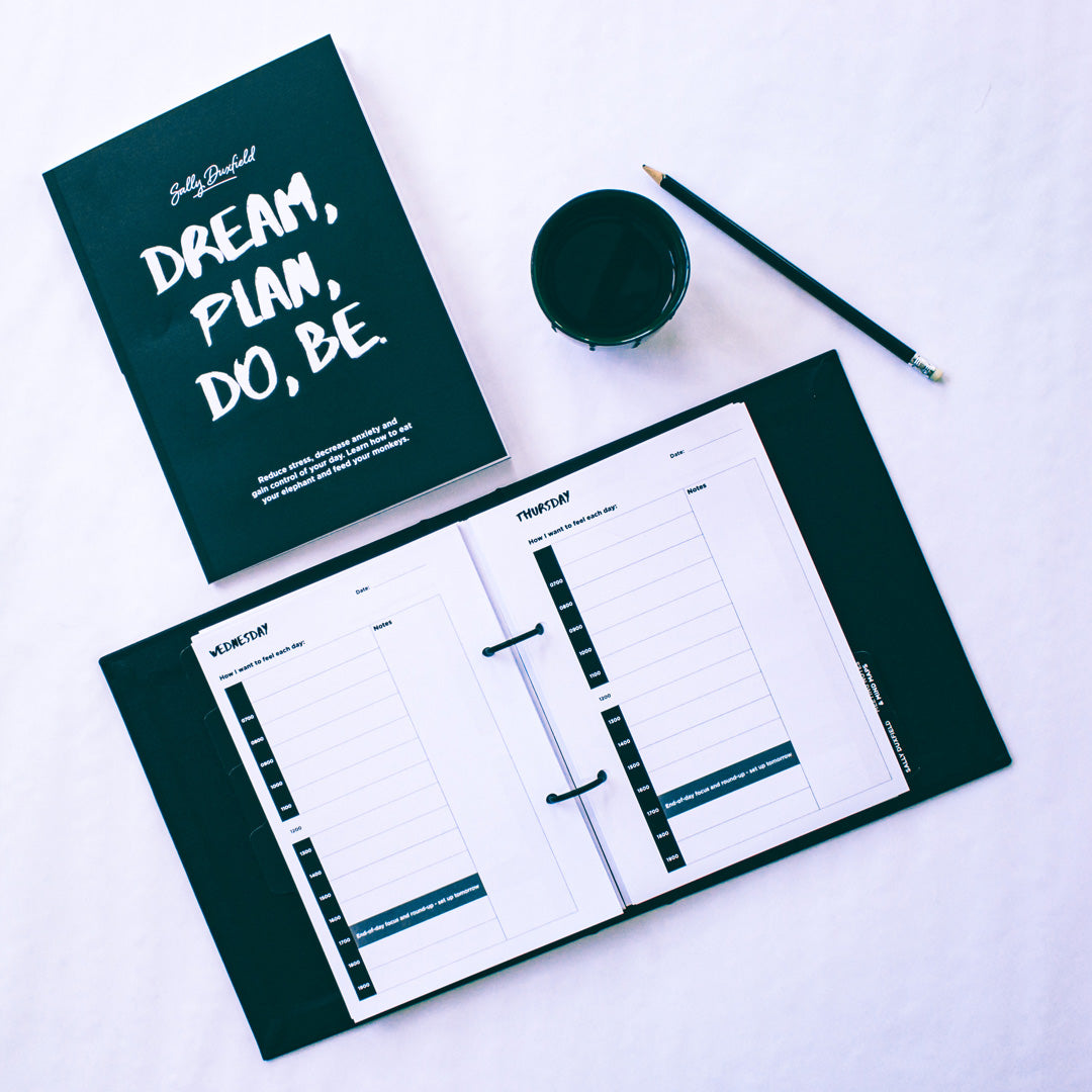 Dream, Plan, Do, Be &amp; Plan It. Do It. Planner Bundle